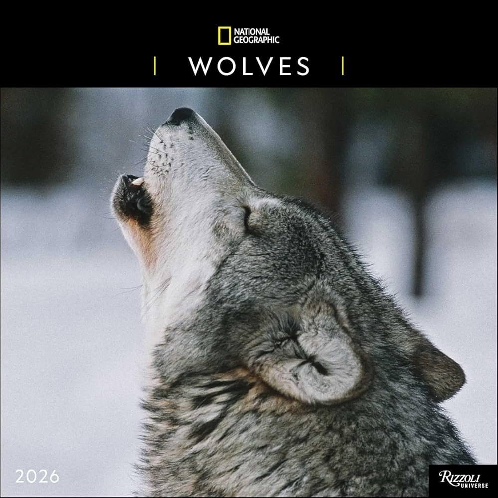 National Geographic Wall Calendar 2026